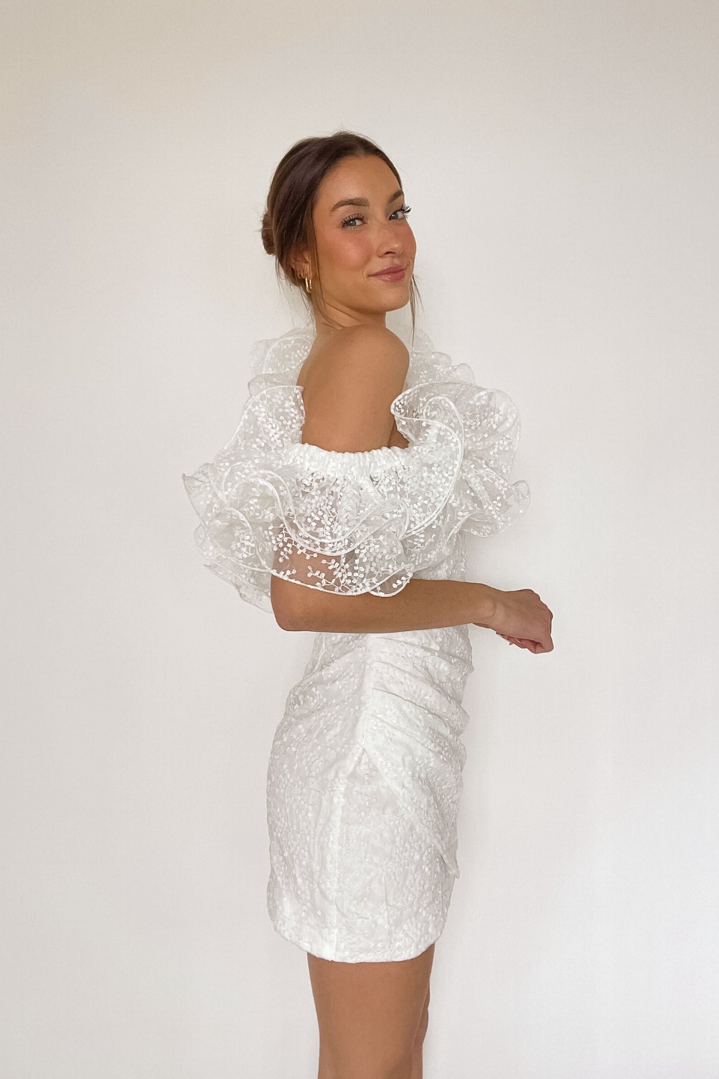 Krista Asymmetrical Embroidered Organza Ruffle Mini Dress