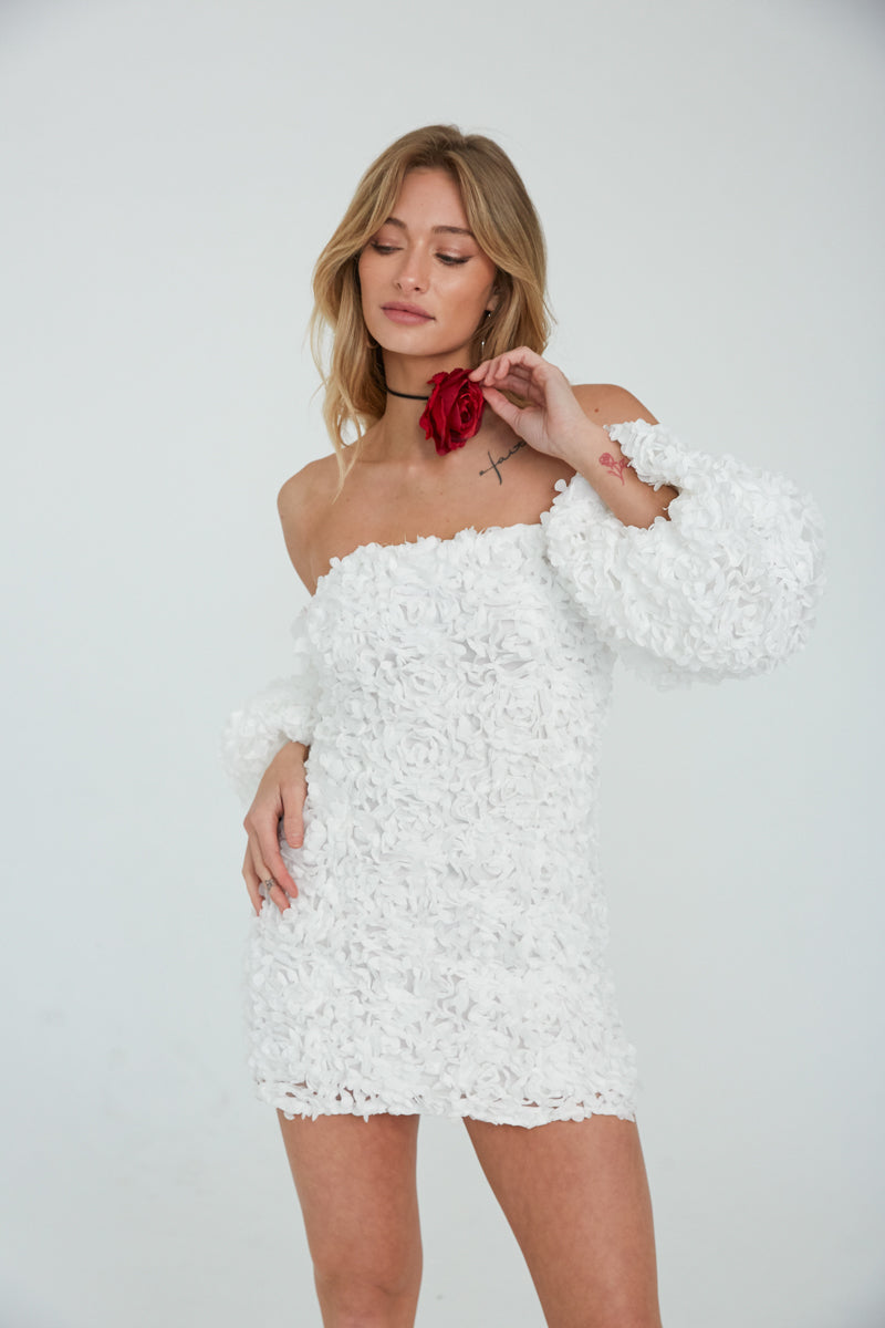 Maylie Flower Applique Mini Dress