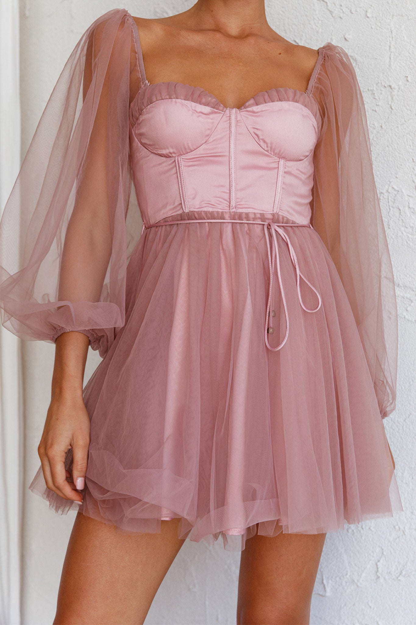 Fairytale Dream Sheer Sleeve Mini Dress Rose