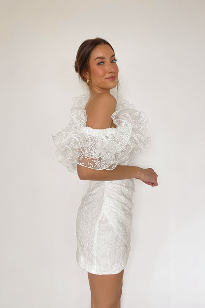 Krista Asymmetrical Embroidered Organza Ruffle Mini Dress